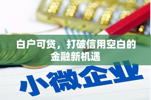 大连白户可贷，打破信用空白的金融新机遇