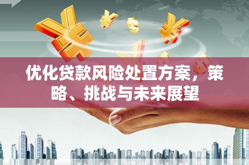 大连优化贷款风险处置方案，策略、挑战与未来展望