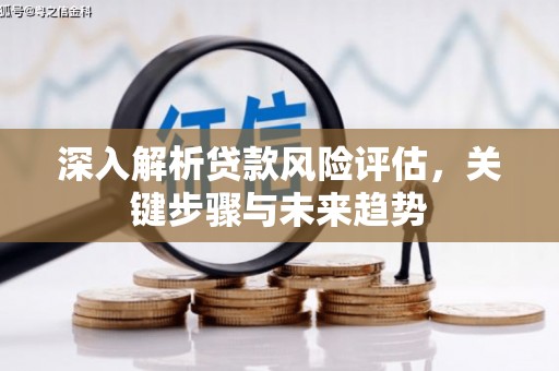 大连深入解析贷款风险评估，关键步骤与未来趋势