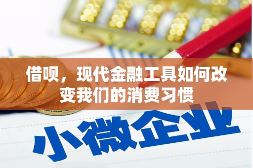 大连借呗，现代金融工具如何改变我们的消费习惯
