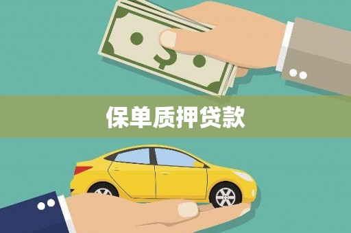 大连保单质押贷款