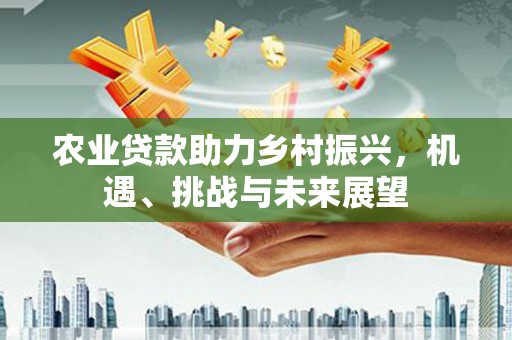 大连农业贷款助力乡村振兴，机遇、挑战与未来展望