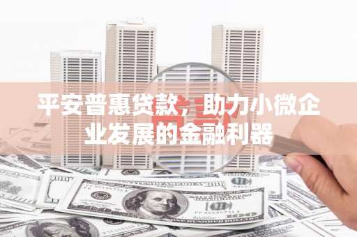大连平安普惠贷款，助力小微企业发展的金融利器