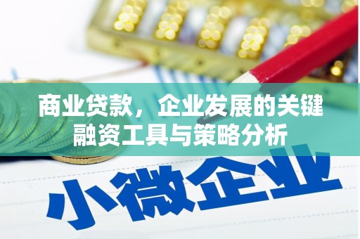 大连商业贷款，企业发展的关键融资工具与策略分析