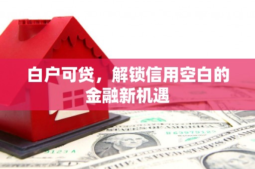 大连白户可贷，解锁信用空白的金融新机遇