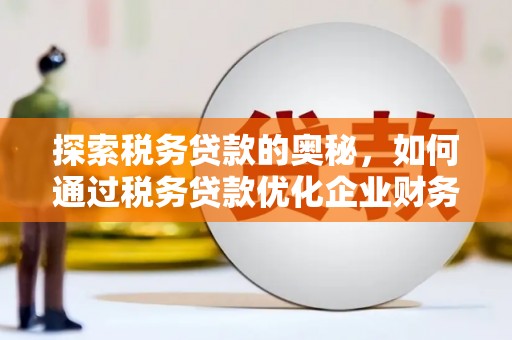 大连探索税务贷款的奥秘，如何通过税务贷款优化企业财务