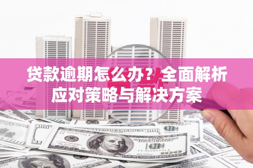 大连贷款逾期怎么办？全面解析应对策略与解决方案