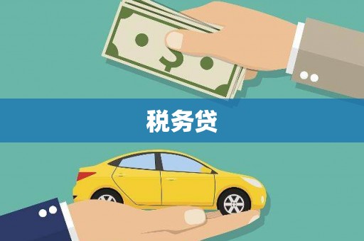 大连税务贷