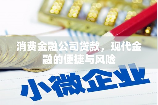 大连消费金融公司贷款，现代金融的便捷与风险