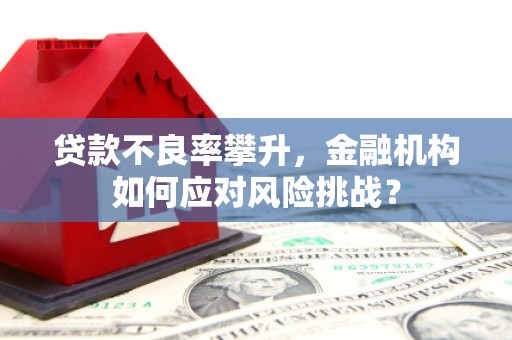 大连贷款不良率攀升，金融机构如何应对风险挑战？