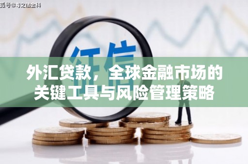 大连外汇贷款，全球金融市场的关键工具与风险管理策略