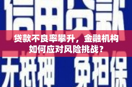 大连贷款不良率攀升，金融机构如何应对风险挑战？