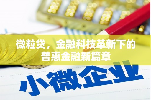大连微粒贷，金融科技革新下的普惠金融新篇章