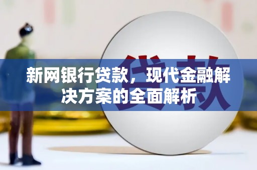 大连新网银行贷款，现代金融解决方案的全面解析
