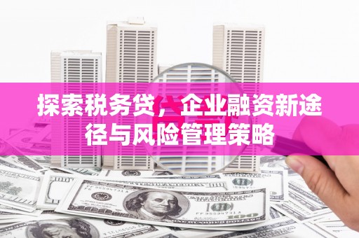 大连探索税务贷，企业融资新途径与风险管理策略