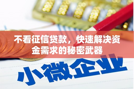 大连不看征信贷款，快速解决资金需求的秘密武器