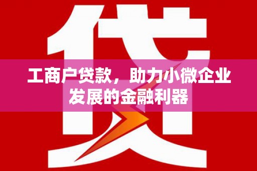 大连工商户贷款，助力小微企业发展的金融利器