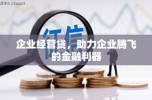 大连企业经营贷，助力企业腾飞的金融利器