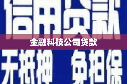 大连金融科技公司贷款