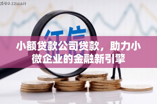 大连小额贷款公司贷款，助力小微企业的金融新引擎