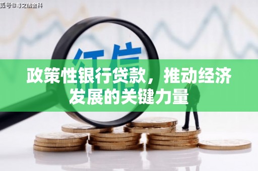 大连政策性银行贷款，推动经济发展的关键力量