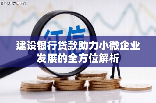大连建设银行贷款助力小微企业发展的全方位解析