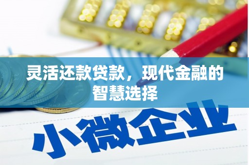 大连灵活还款贷款，现代金融的智慧选择