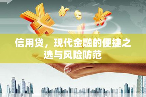 大连信用贷，现代金融的便捷之选与风险防范