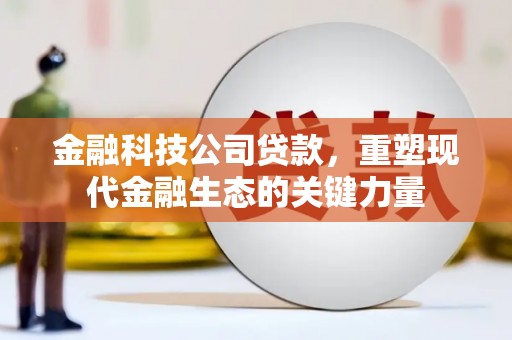 大连金融科技公司贷款，重塑现代金融生态的关键力量