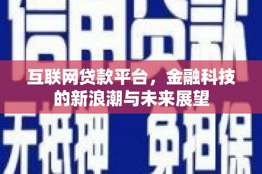 大连互联网贷款平台，金融科技的新浪潮与未来展望