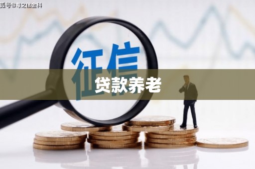 大连贷款养老