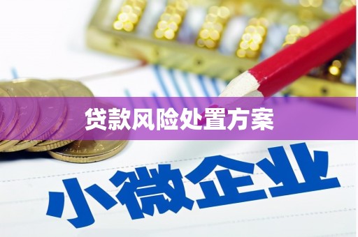 大连贷款风险处置方案
