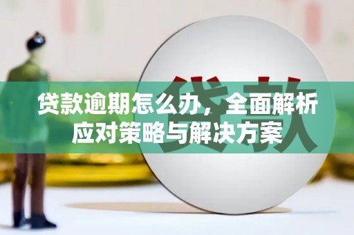大连贷款逾期怎么办，全面解析应对策略与解决方案